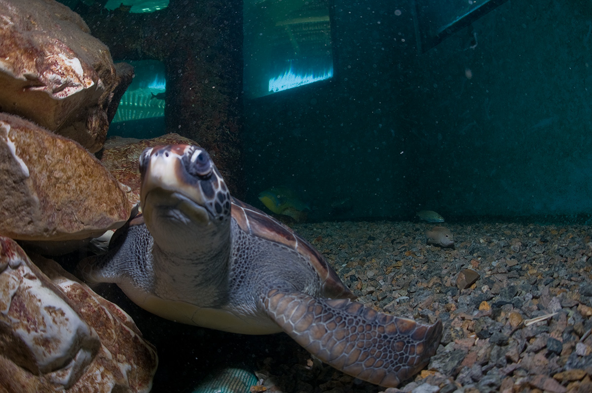 Oceanário de Aracaju - SE