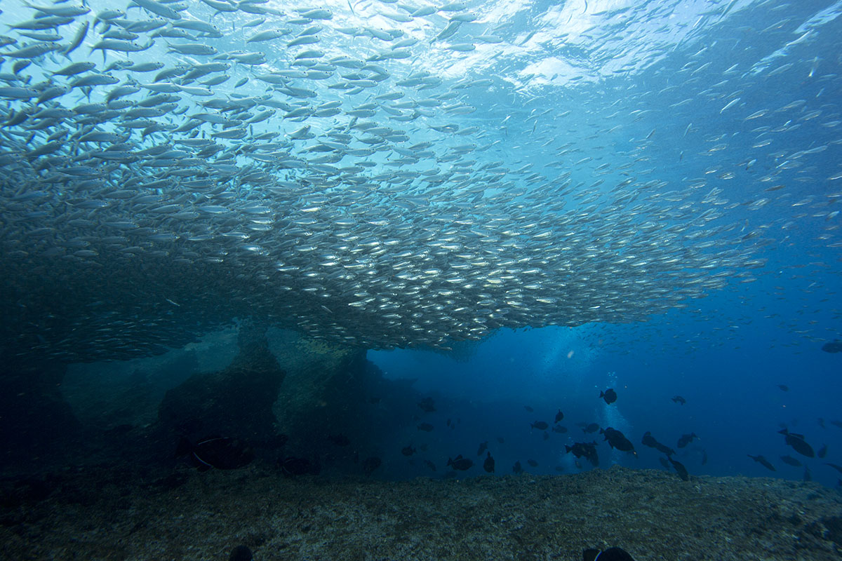 Fernando de Noronha