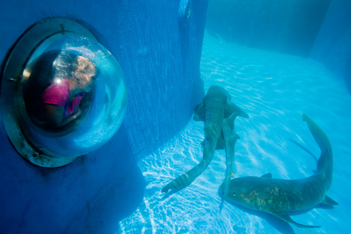 Oceanário de Aracaju - SE