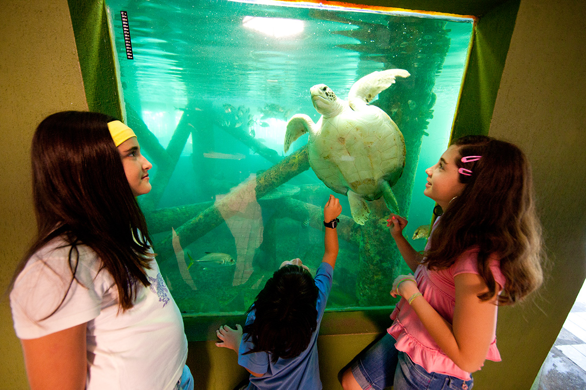 Oceanário de Aracaju - SE