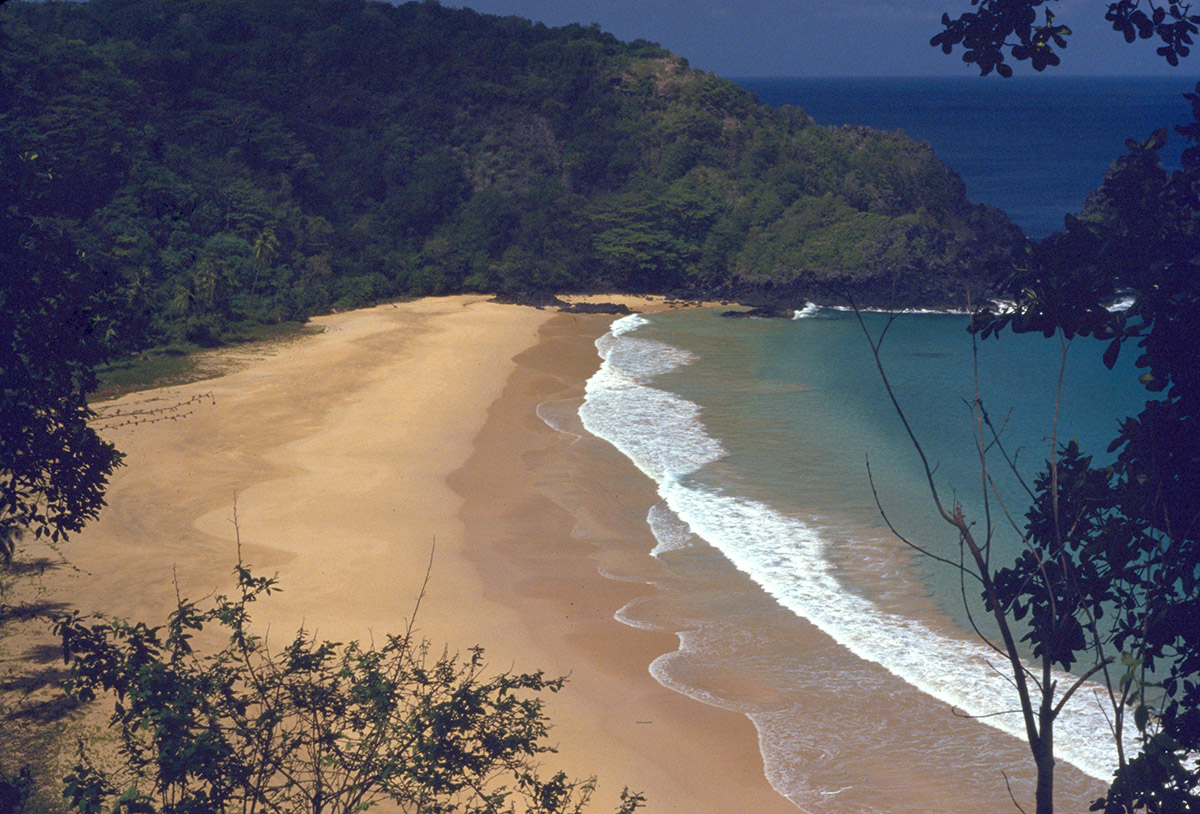 As praias de desova apresentam características propícias a um monitoramento diário, inclusive noturno nas áreas principais.
